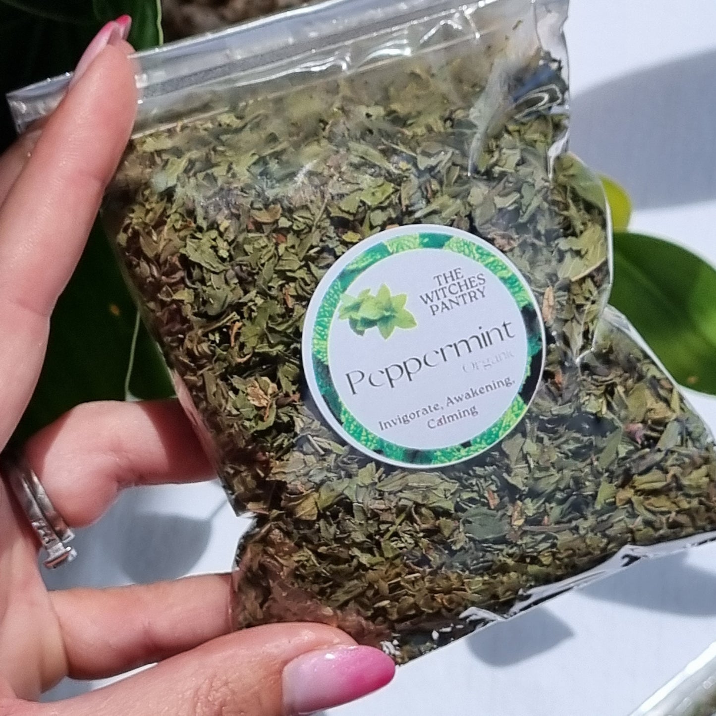 Peppermint - Organic - Sparrow and Fox