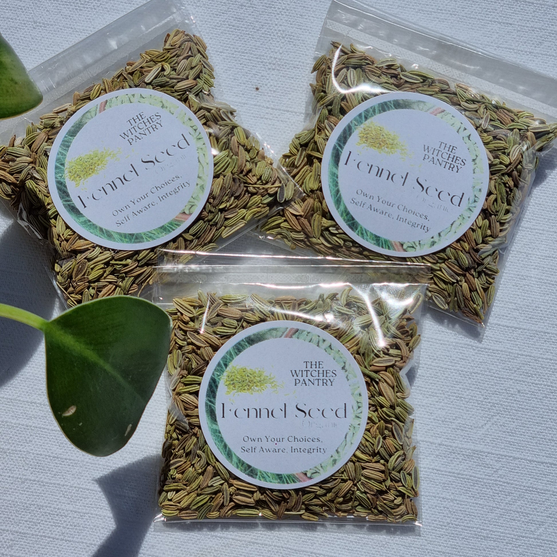 Fennel Seed - Organic - Sparrow and Fox