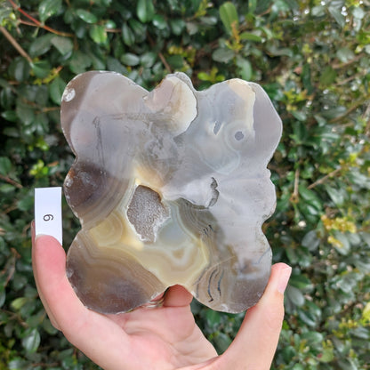 Agate Slices - Random shapes - B Grade