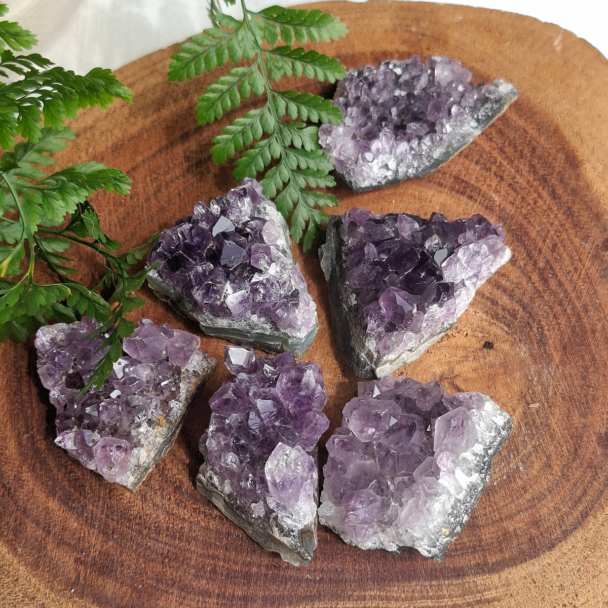 Amethyst Cluster - Brazil