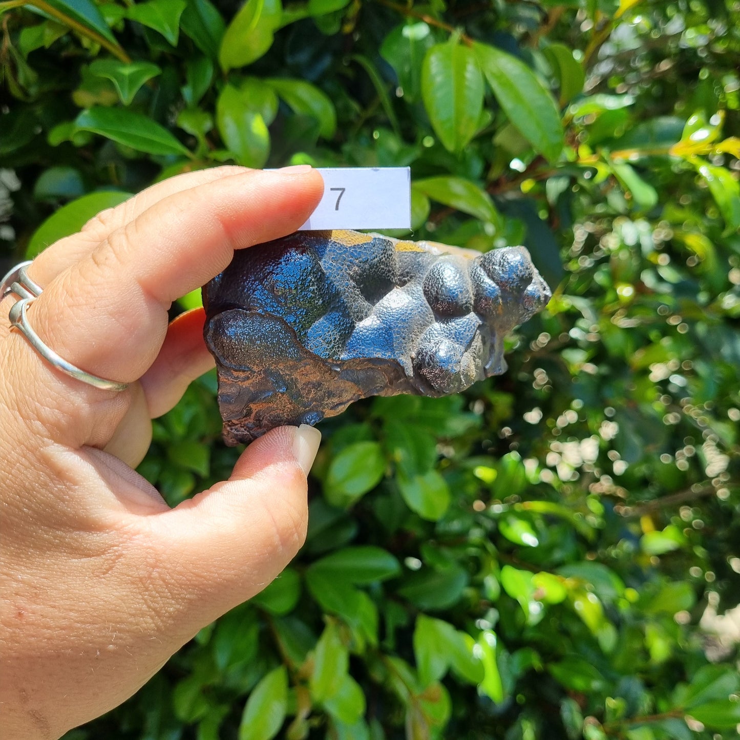 Hematite Botryoidal Cluster - Morocco