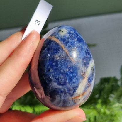 Sodalite Egg - India