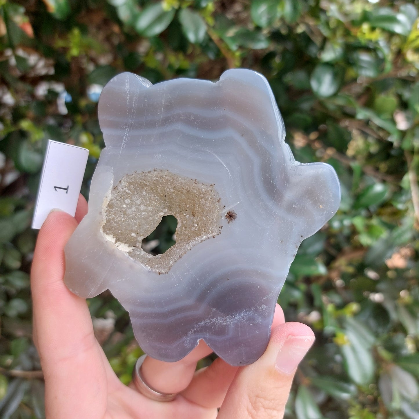 Agate Slices - Random shapes - B+ Grade
