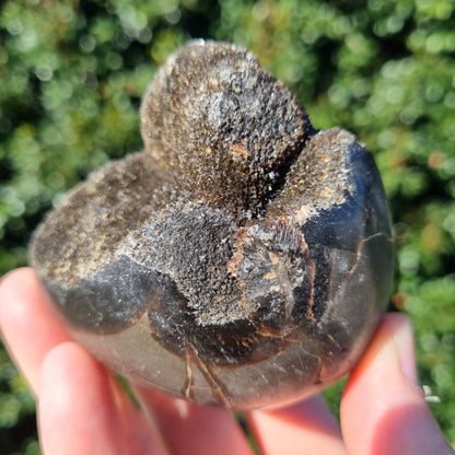 Septarian Dragon Egg - Madagascar - Small Sizes