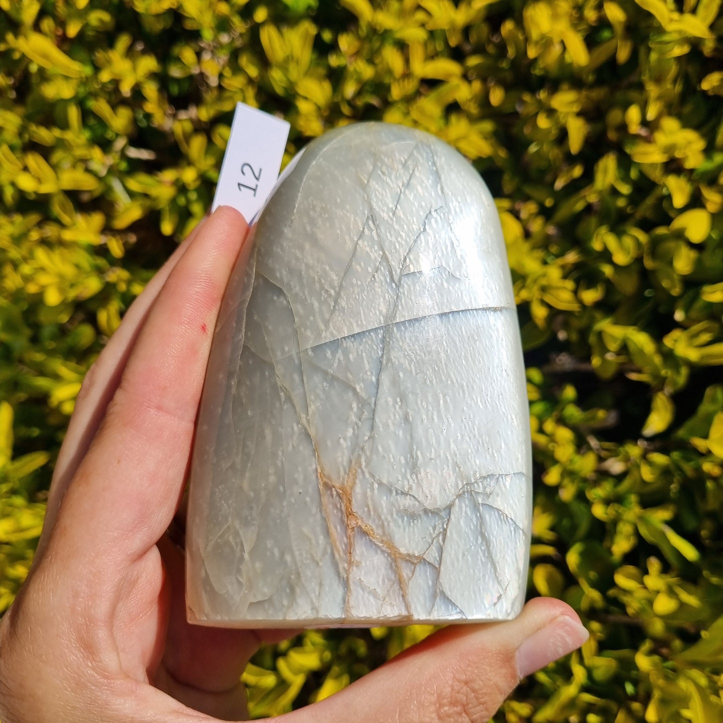 Silver Moonstone Freeform