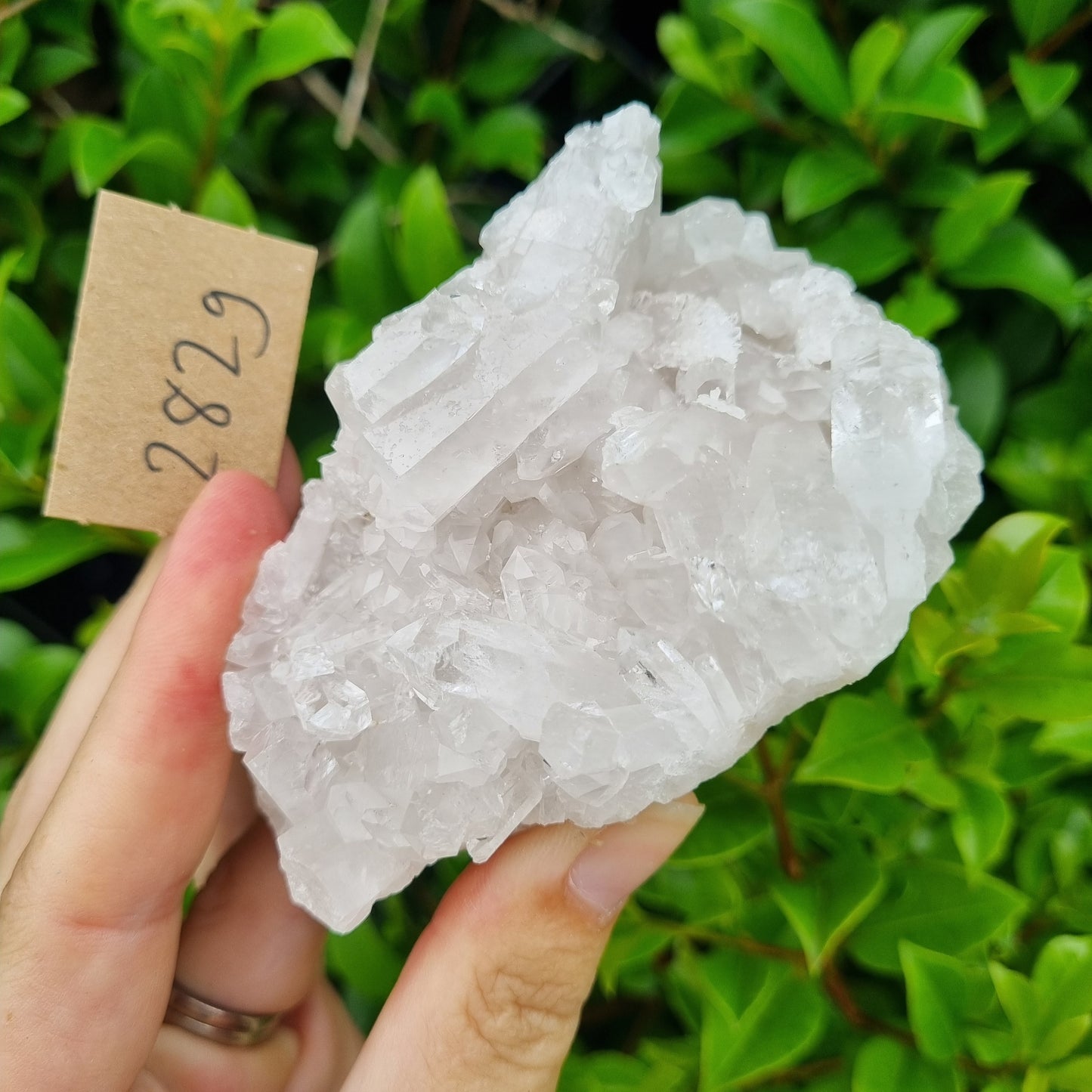 Quartz Cluster - Brazil - A Grade