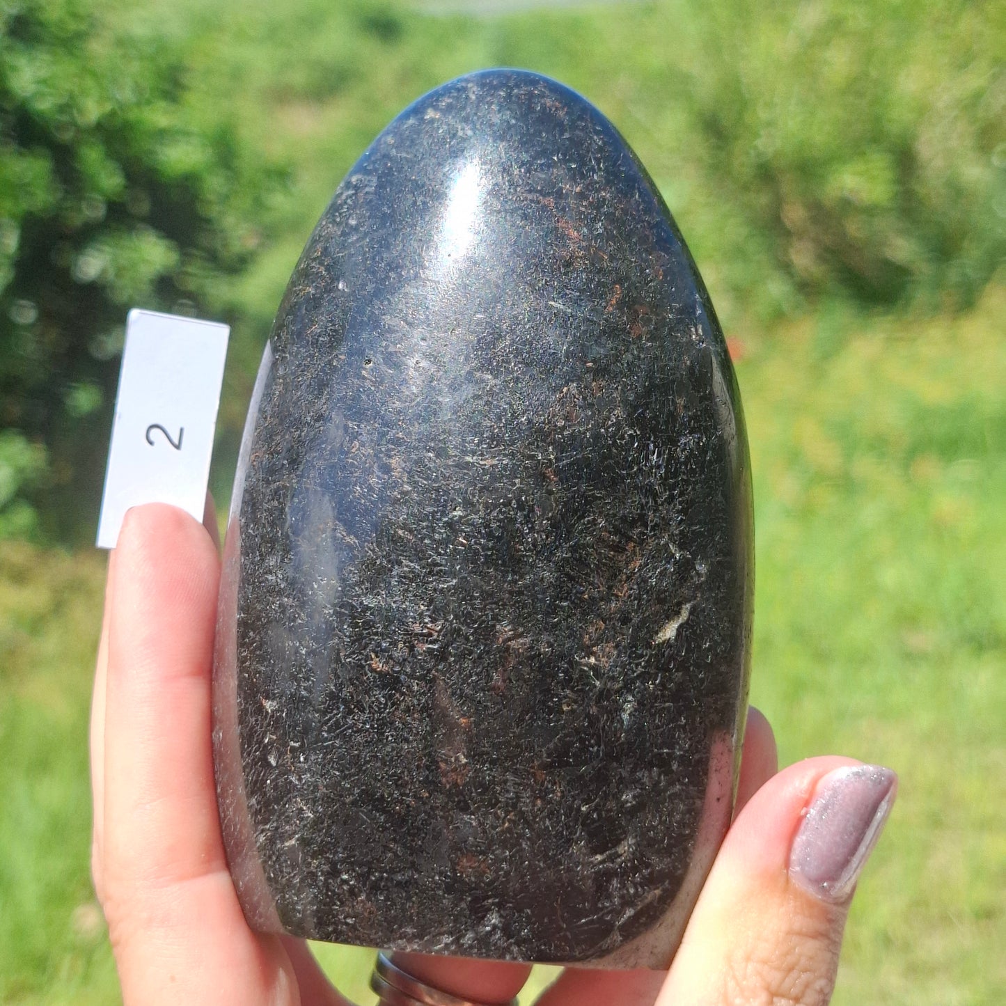 Dravite Tourmaline Freeform - Australia