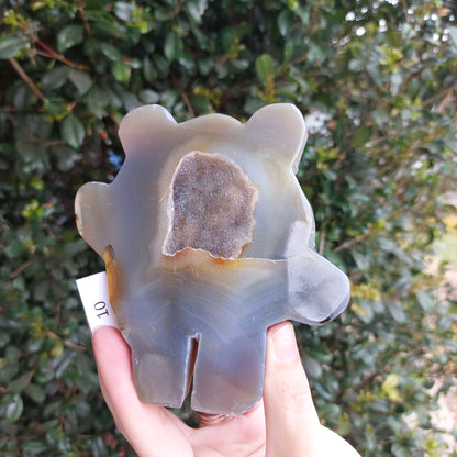 Agate Slices - Random shapes - B Grade