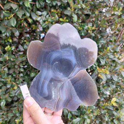 Agate Slices - Random shapes - B Grade