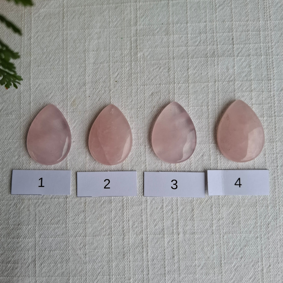 Rose Quartz Cabochon