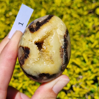 Yellow Septarian Dragon Egg - Madagascar - Smaller Sizes