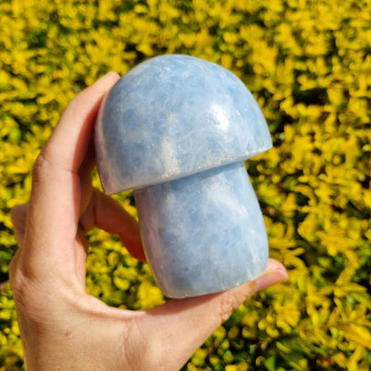 Blue Calcite Mushroom