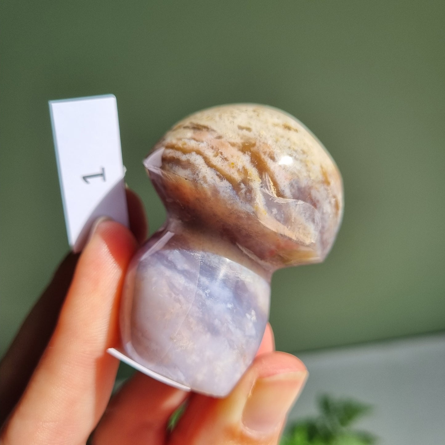Polychrome Jasper Mushroom - Madagascar