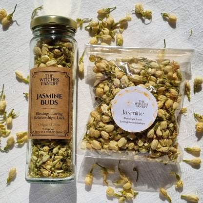 Jasmine Buds