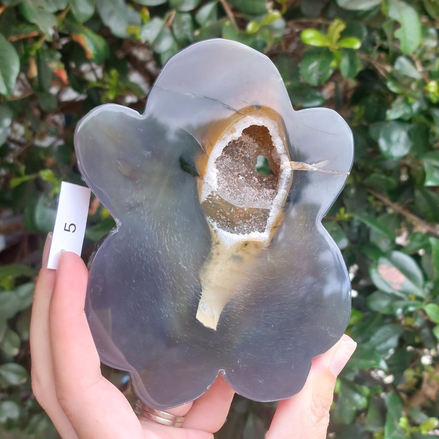 Agate Slices - Random shapes - B+ Grade