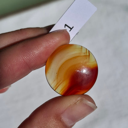 Carnelian Cabochon