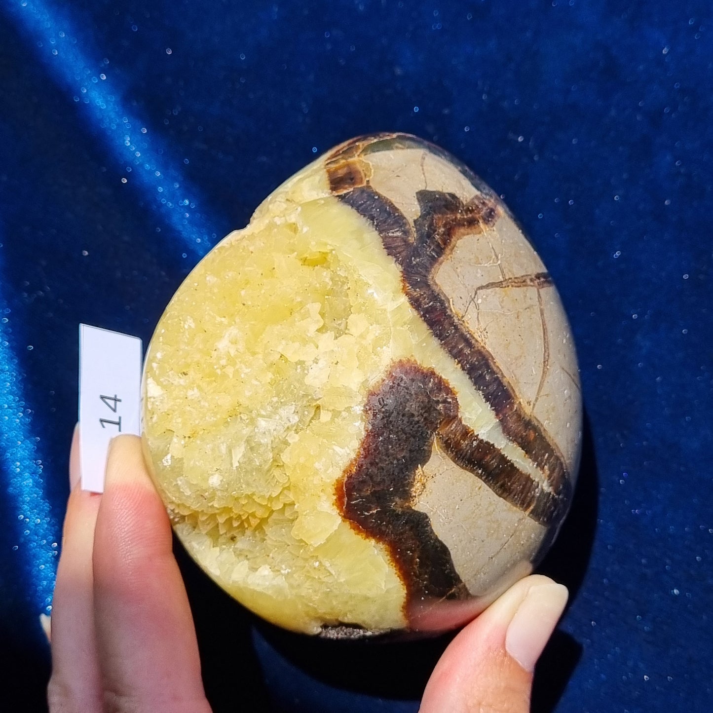 Yellow Septarian Dragon Egg - Madagascar - Smaller Sizes