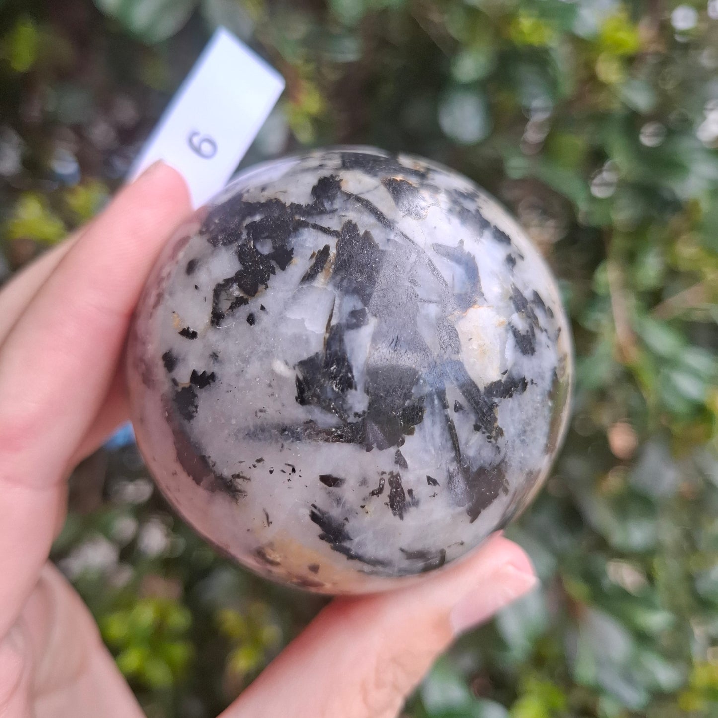 Tourmaline in Quartz Sphere - Madagascar