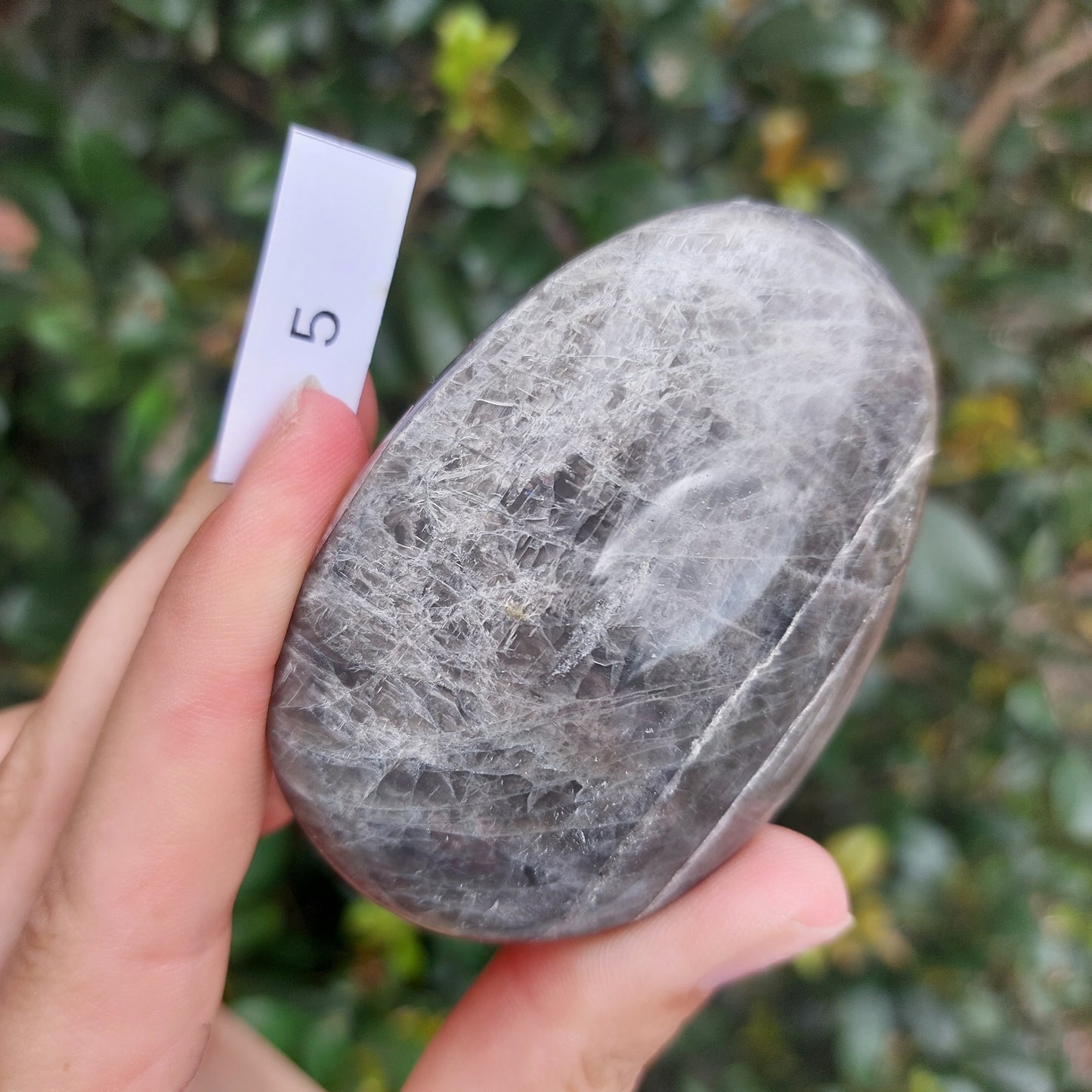 Black Moonstone Palm Stone - Madagascar - Nice flash!