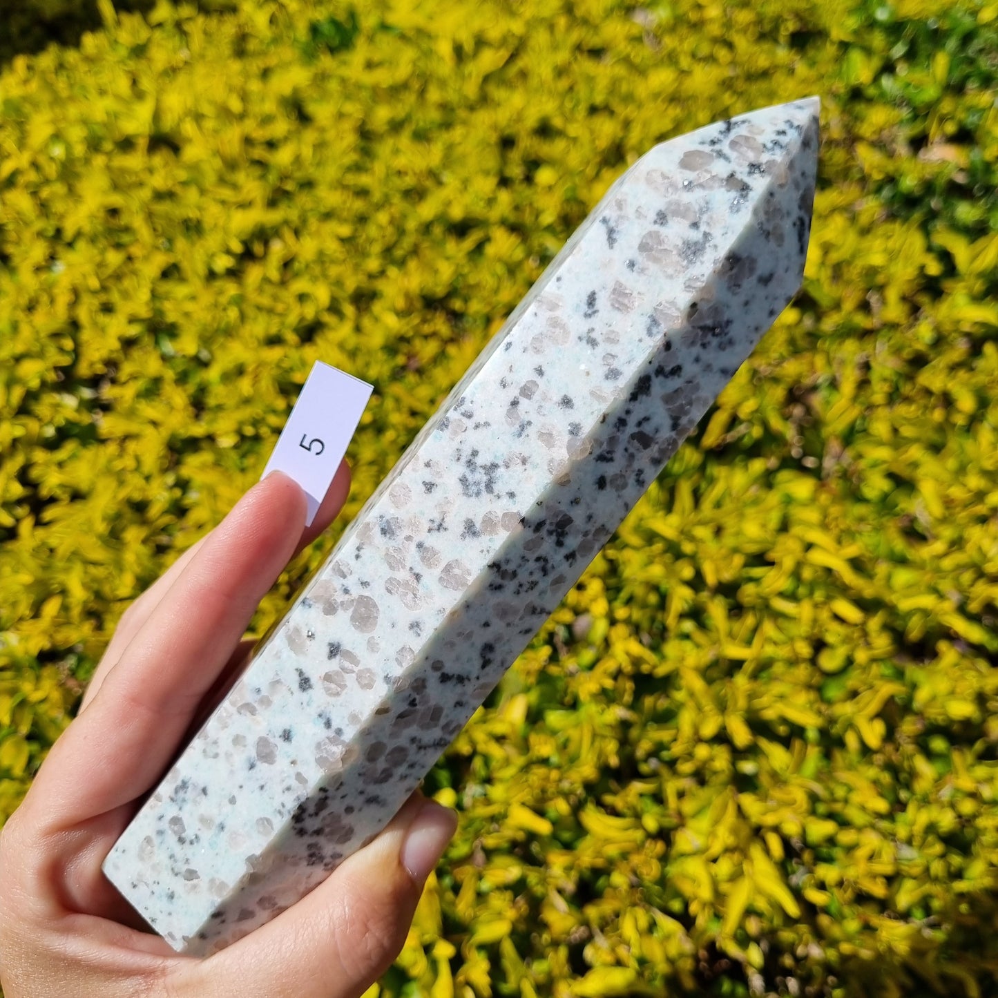 Kiwi Jasper Large Towers