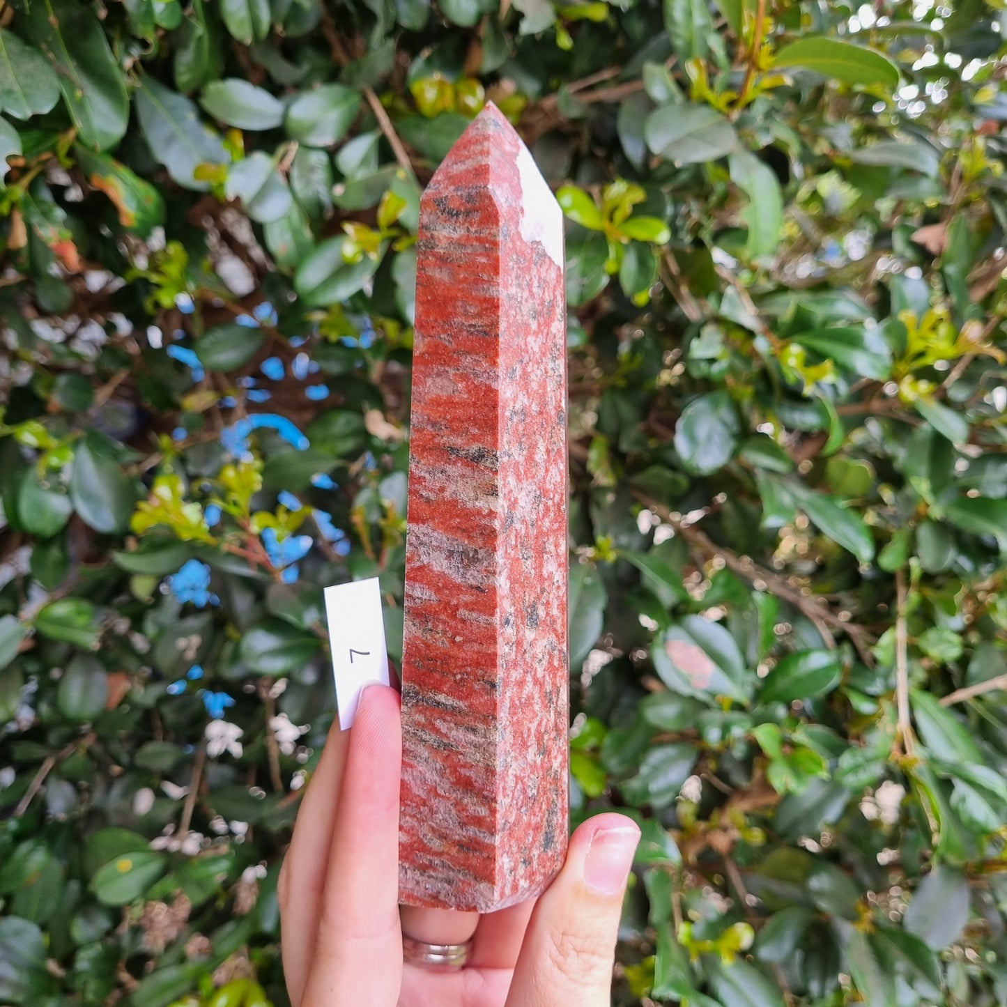 Tiger Granite Towers - India