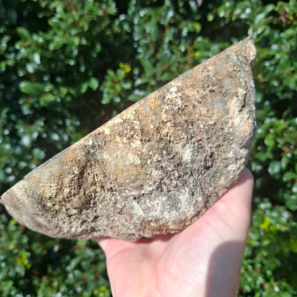 Thunder Egg - Australia - 3.19kg