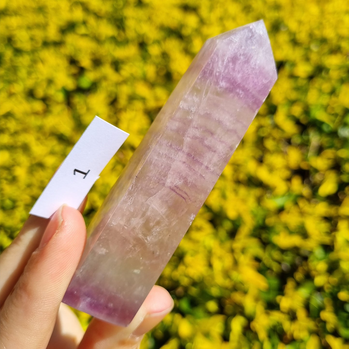 Fluorite Obelisk - India