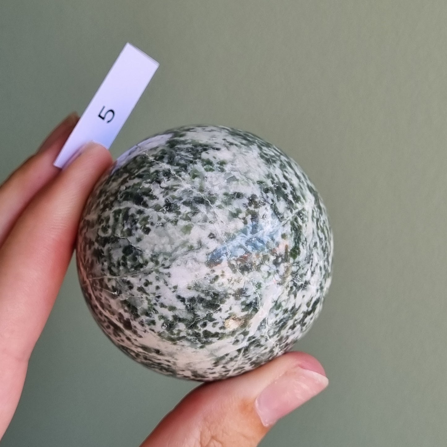 Tree Agate Sphere