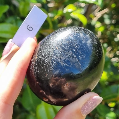 Dravite Tourmaline Palmstone - Australia