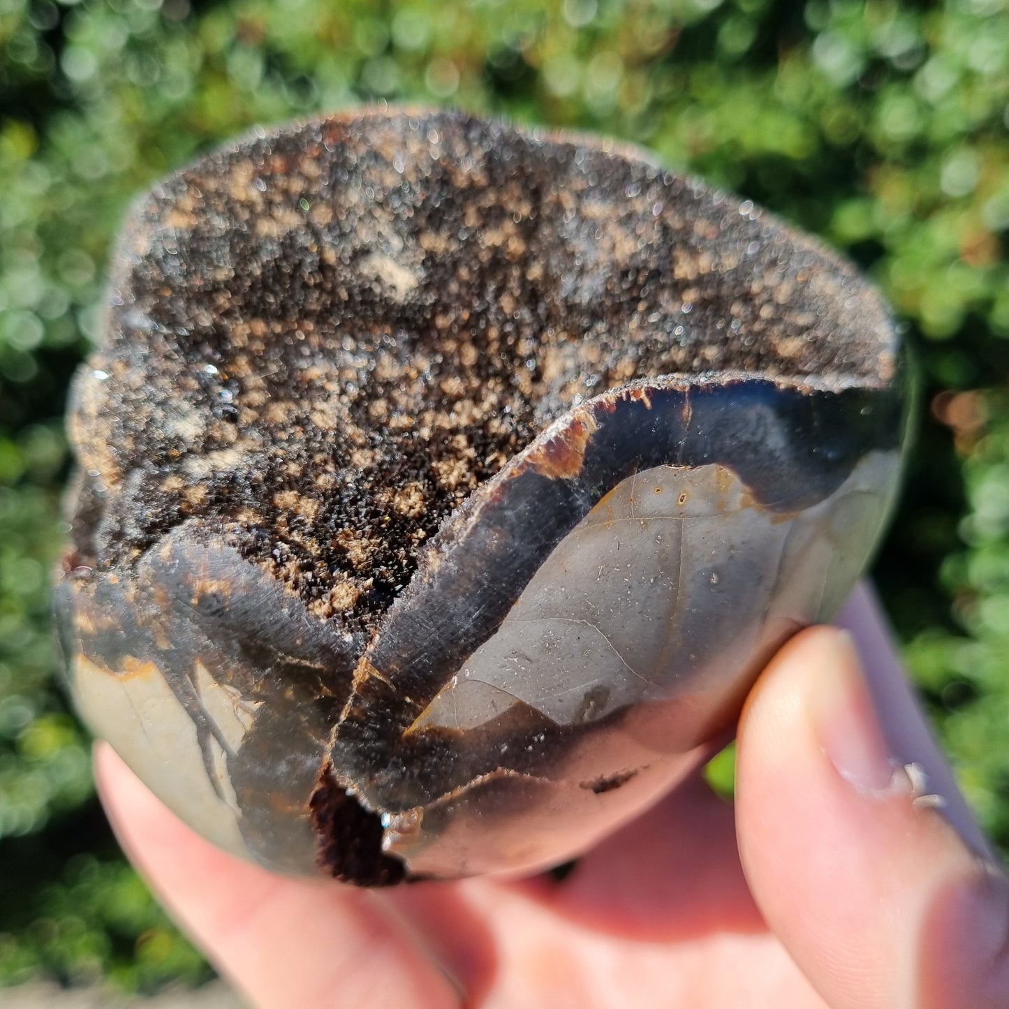 Septarian Dragon Egg - Madagascar - Small Sizes