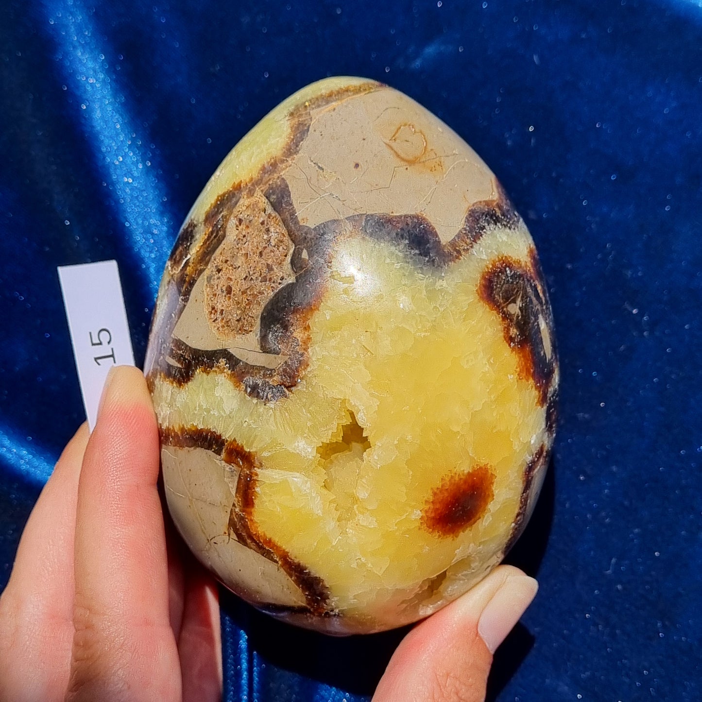 Yellow Septarian Dragon Egg - Madagascar - Smaller Sizes