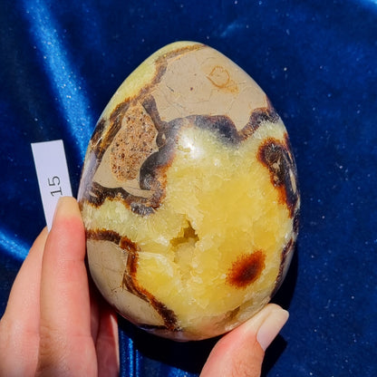 Yellow Septarian Dragon Egg - Madagascar - Smaller Sizes