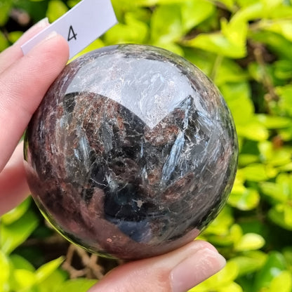 Garnet in Arfvedsonite Sphere - China