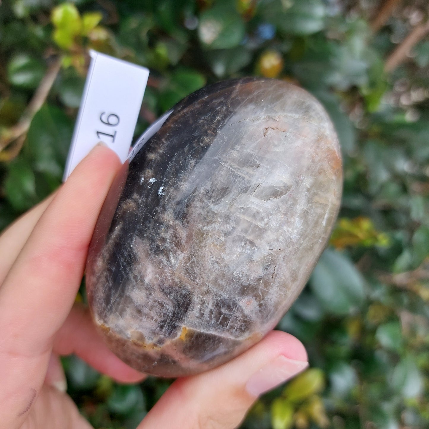 Black Moonstone Palm Stone - Madagascar - Nice flash!