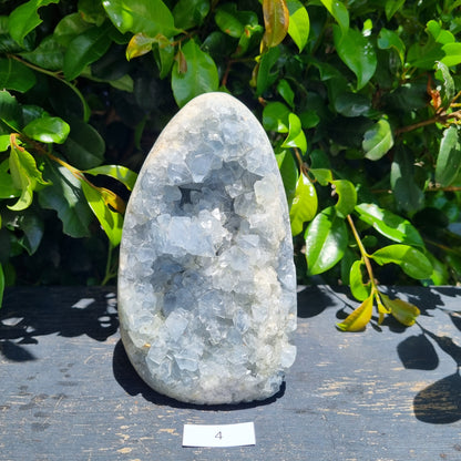 Celestite Standing Freeform Cluster - Madagascar