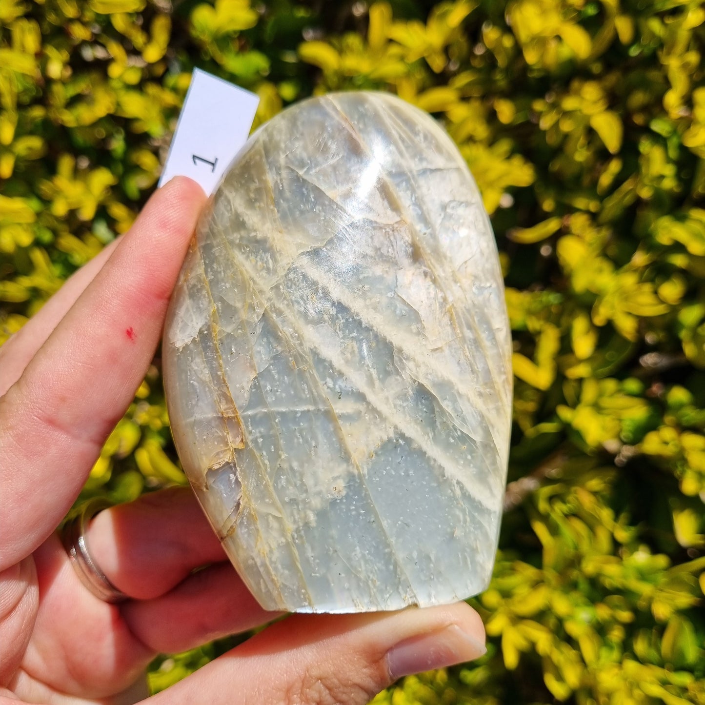 Silver Moonstone Freeform