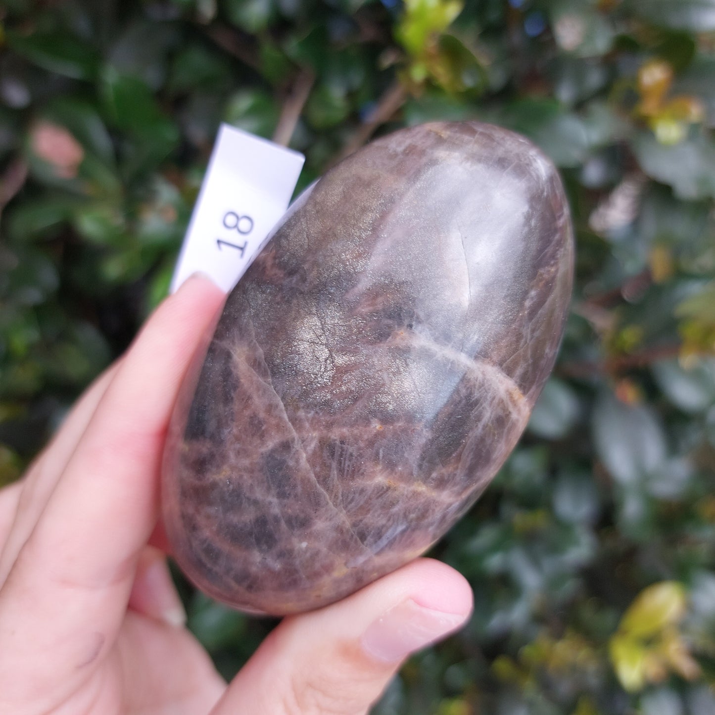 Black Moonstone Palm Stone - Madagascar - Nice flash!