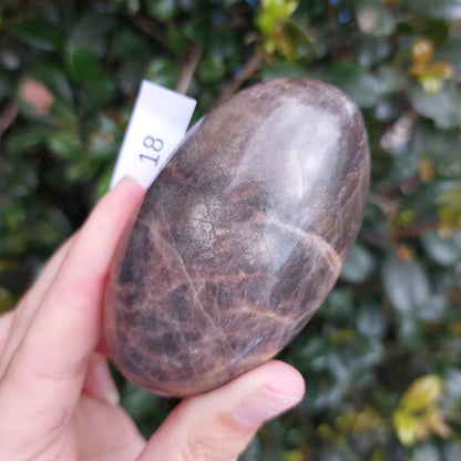 Black Moonstone Palm Stone - Madagascar - Nice flash!