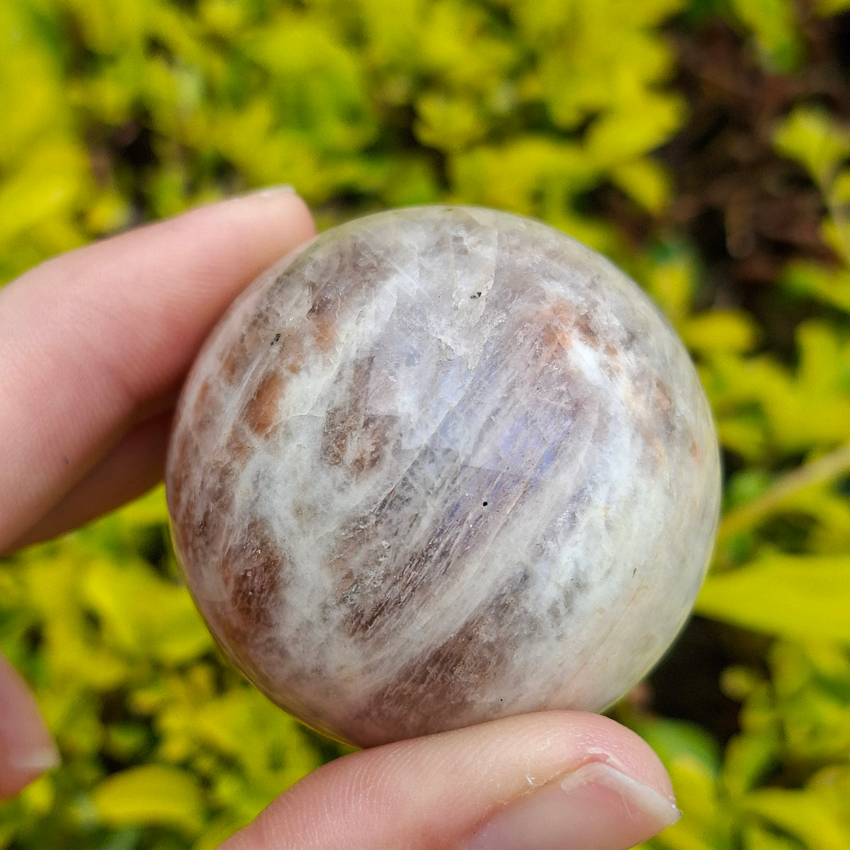 Black Moonstone with Sunstone Sphere - 129 grams