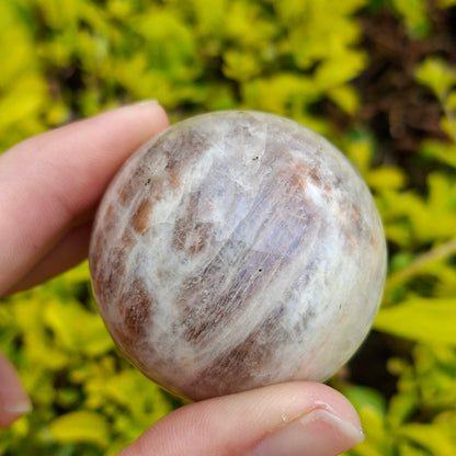 Black Moonstone with Sunstone Sphere - 129 grams