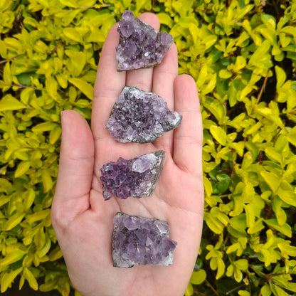 Amethyst Cluster - Brazil