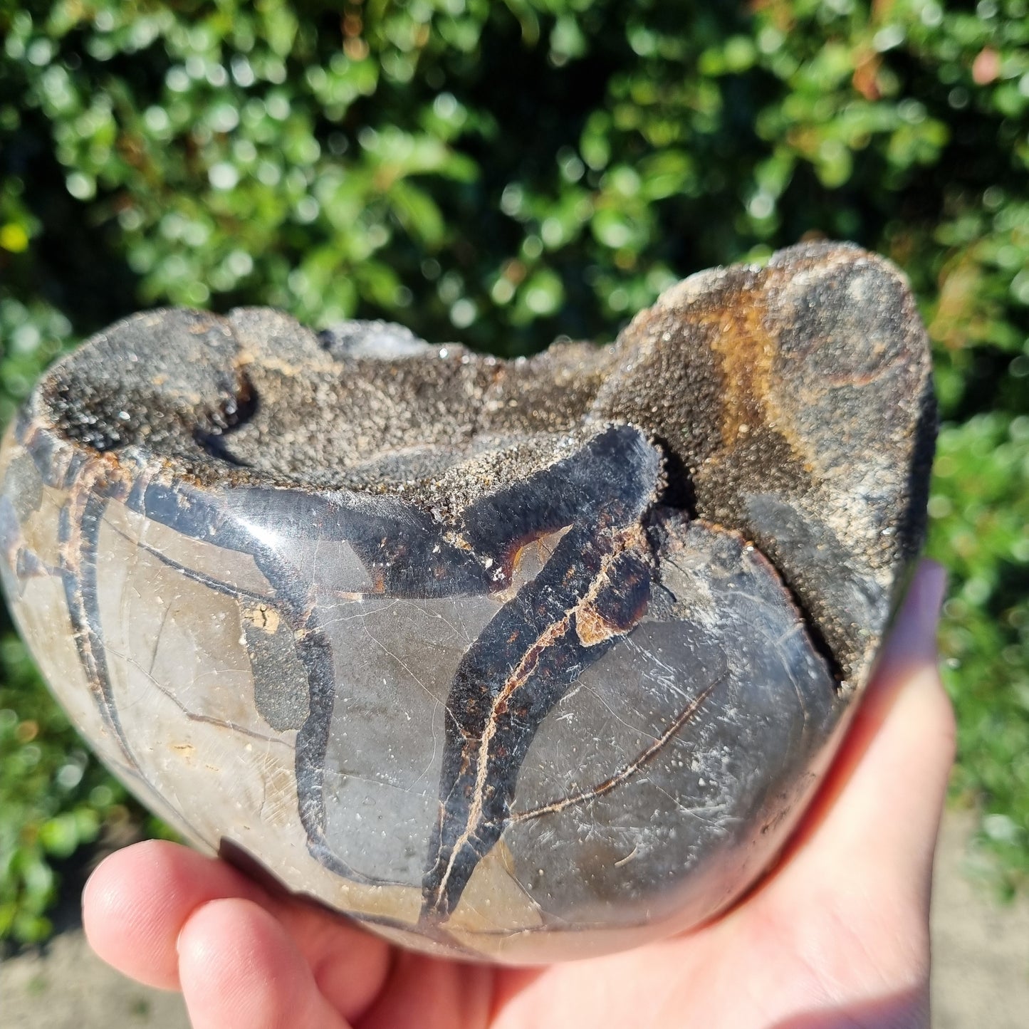 Septarian Dragon Egg - Madagascar - 1.706kg
