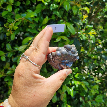 Hematite Botryoidal Cluster - Morocco