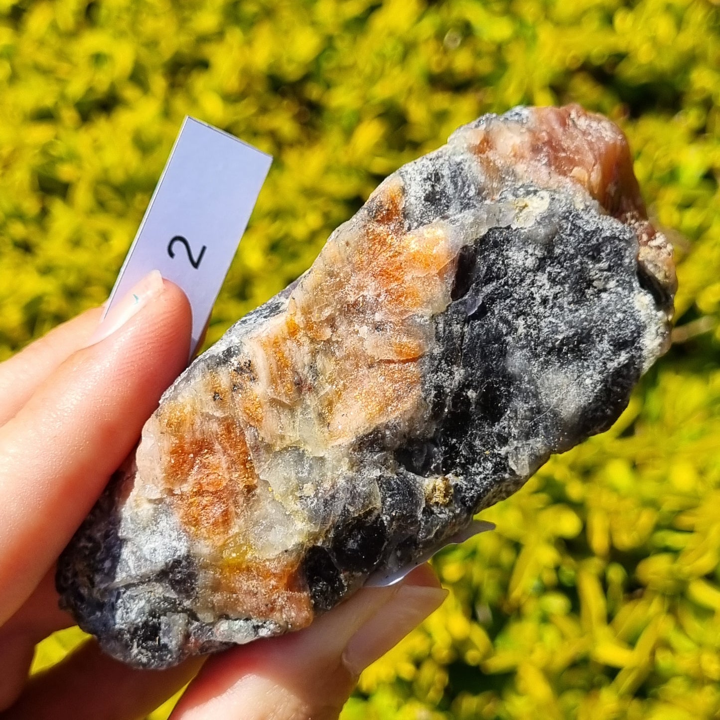 Cordierite Specimen - Madagascar