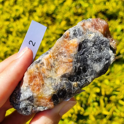 Cordierite Specimen - Madagascar