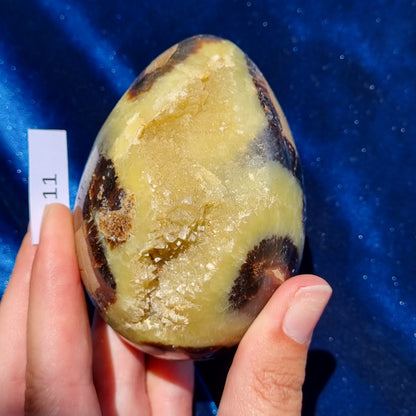 Yellow Septarian Dragon Egg - Madagascar - Smaller Sizes