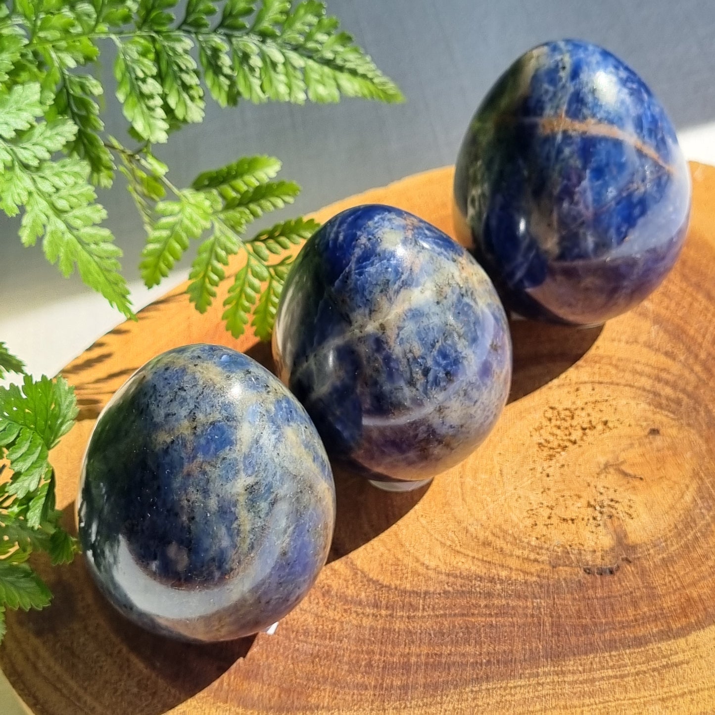 Sodalite Egg - India