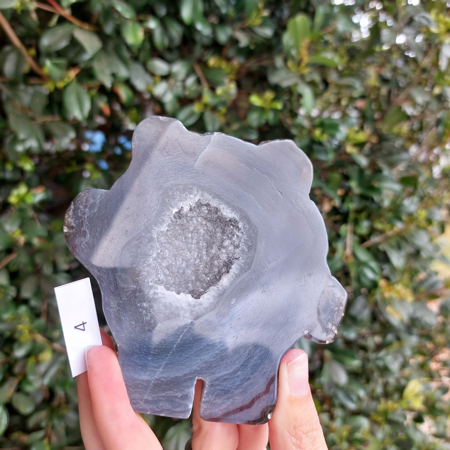 Agate Slices - Random shapes - B Grade