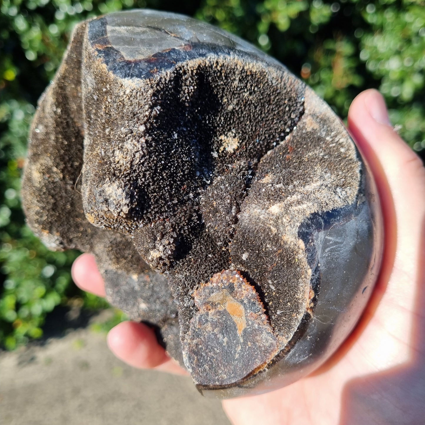 Septarian Dragon Egg - Madagascar - 1.778kg