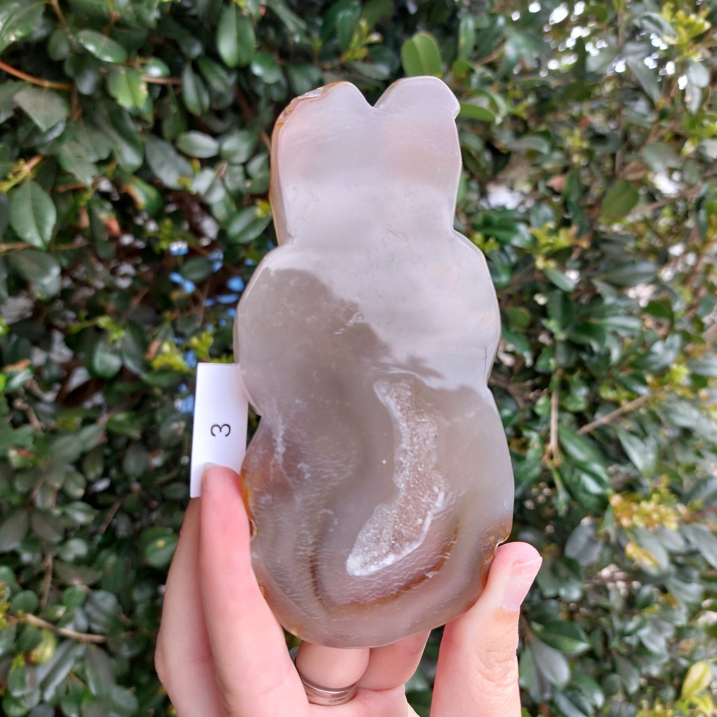 Agate Slices - Random shapes - B Grade